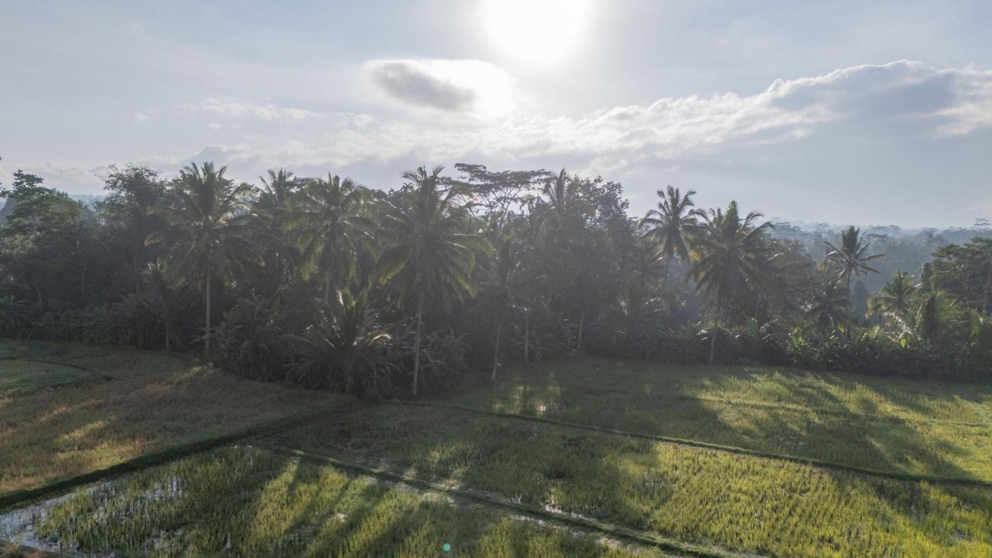 Villa Aditara Sebatu *